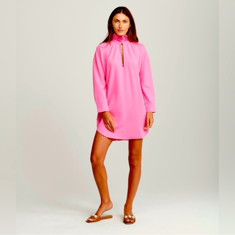 EUC SNDYS Fiona Long Sleeve Shift Dress - Azalea Pink, Size XS